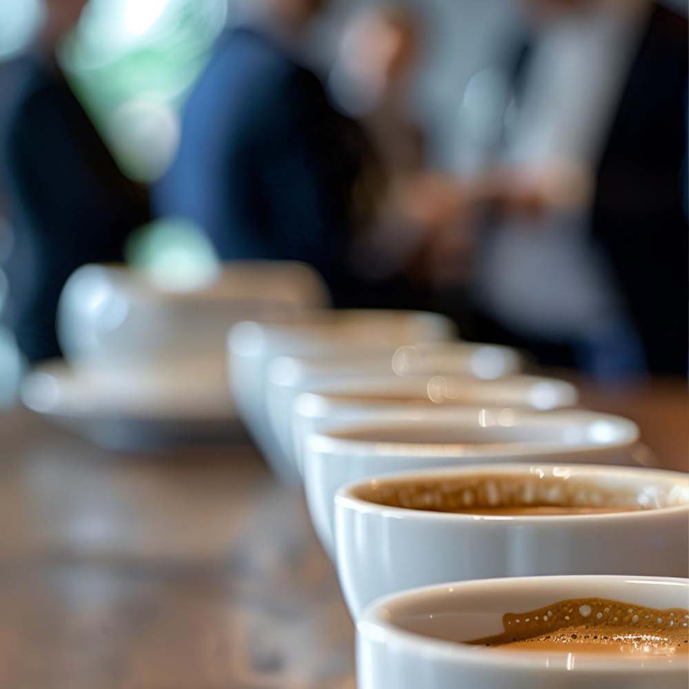 דוכן קפה לכנסים שורה של כוסות קפה